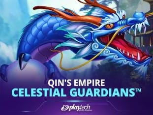 Qin's Empire _ Celestial Guardians™ game cover