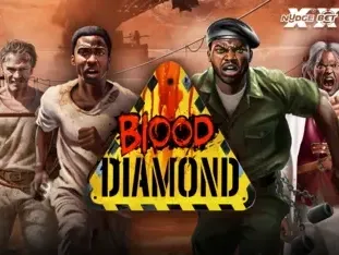 Blood Diamond game cover